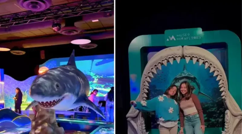 Imagen promocional de la exposición SHARKS en el Museo Miraflores.