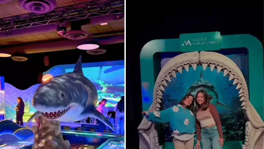 Imagen promocional de la exposición SHARKS en el Museo Miraflores.